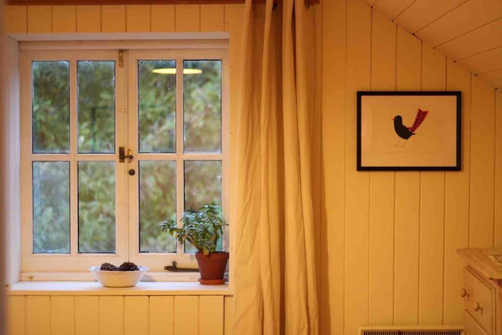 Trinity Annexe An Adorable First Floor Light And Lofty Space Within An Aonb Godmanstone Exterior photo
