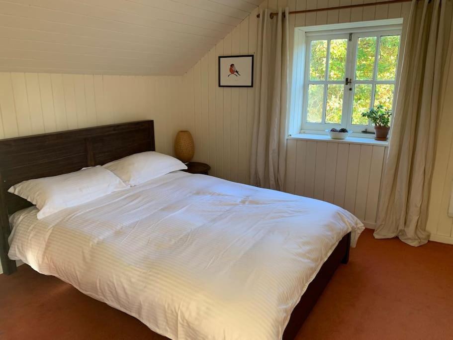 Trinity Annexe An Adorable First Floor Light And Lofty Space Within An Aonb Godmanstone Exterior photo